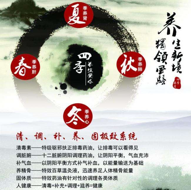做个假的CISA资格证